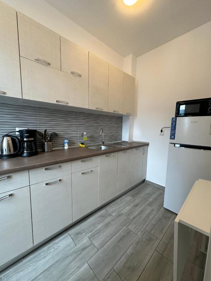 97 Rent House Apartment Bucharest